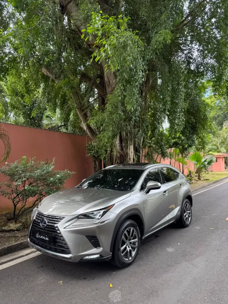 2019 Lexus NX