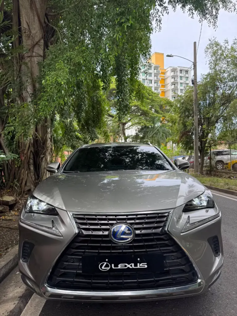 2019 Lexus NX