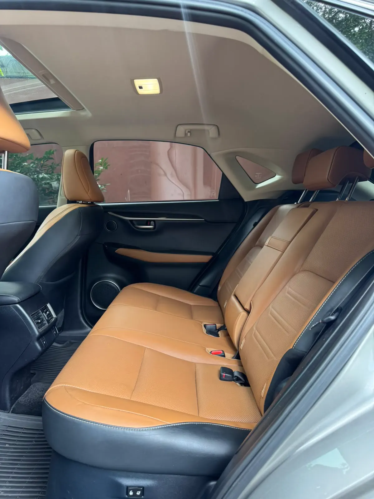 2019 Lexus NX