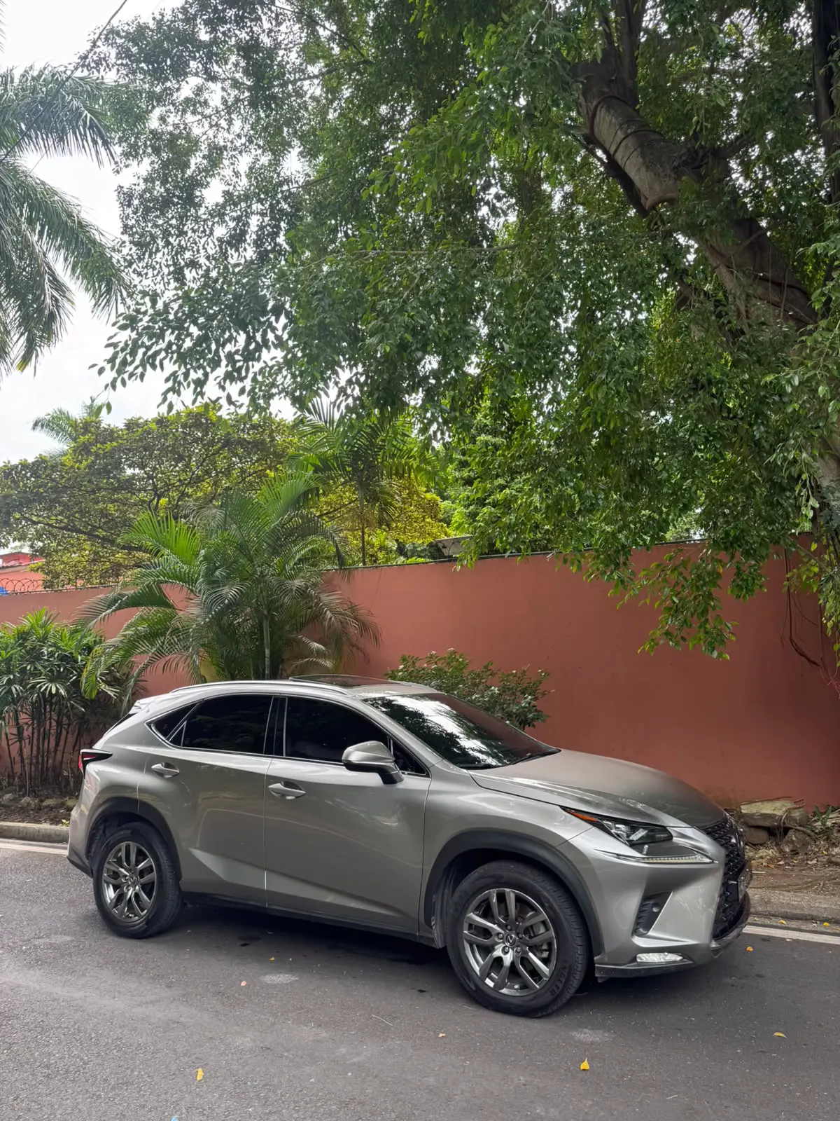 2019 Lexus NX