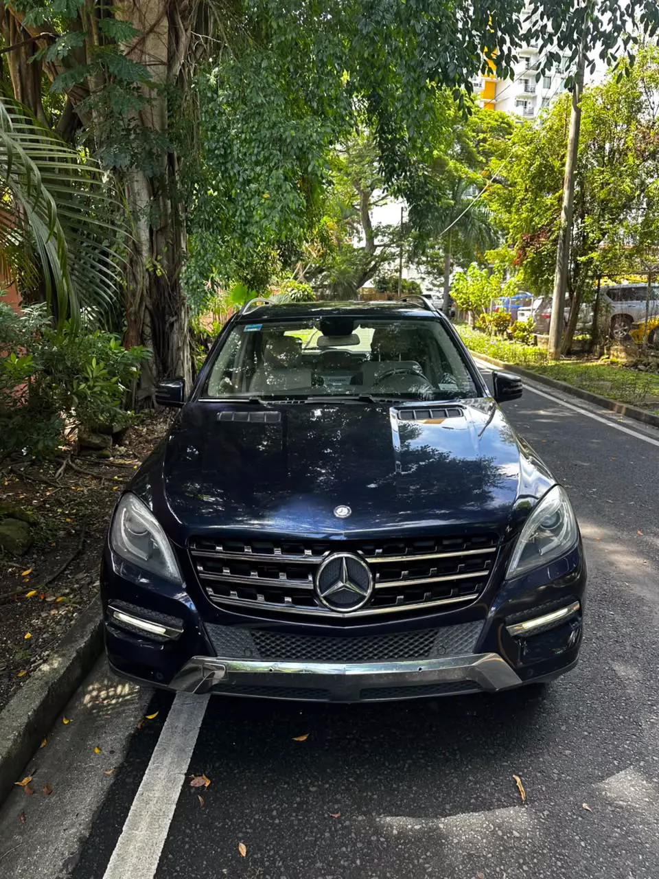 2014 Mercedes-Benz ML350 CDI