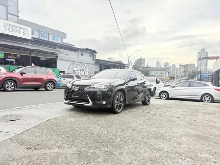 2021 Lexus UX