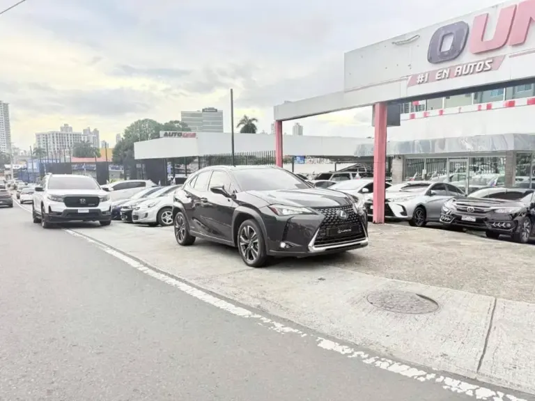 2021 Lexus UX