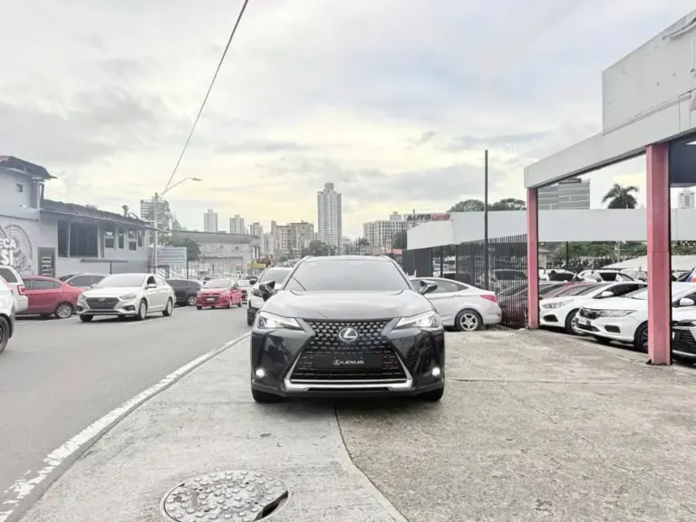 2021 Lexus UX