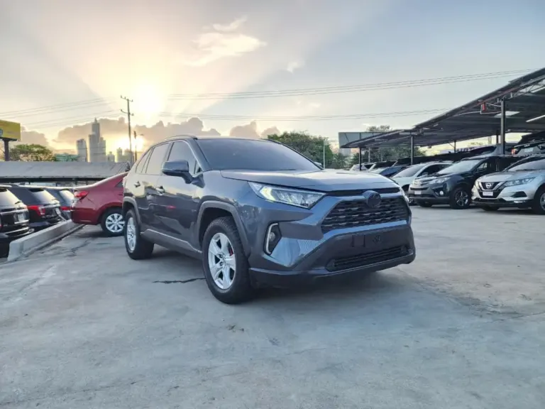 2019 Toyota RAV4