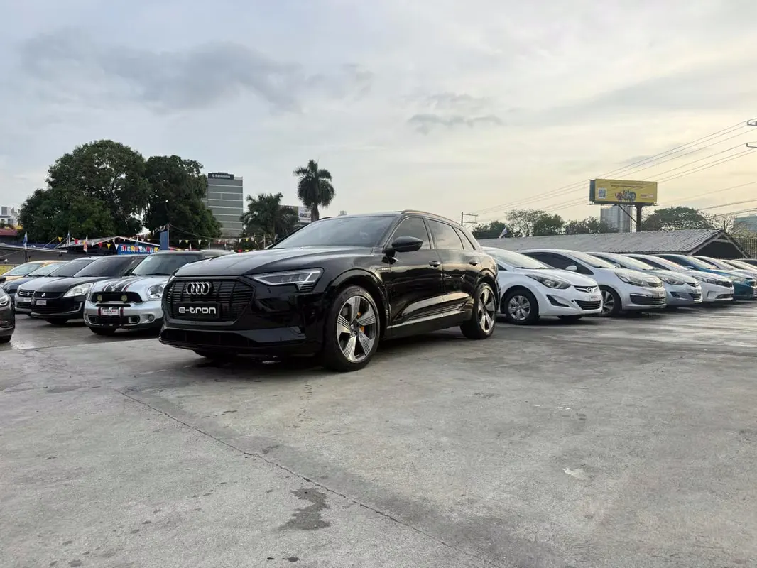 2020 Audi e-tron