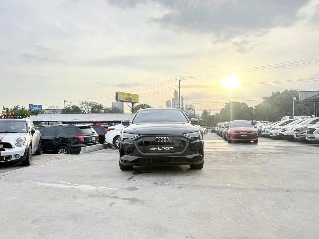 2020 Audi e-tron
