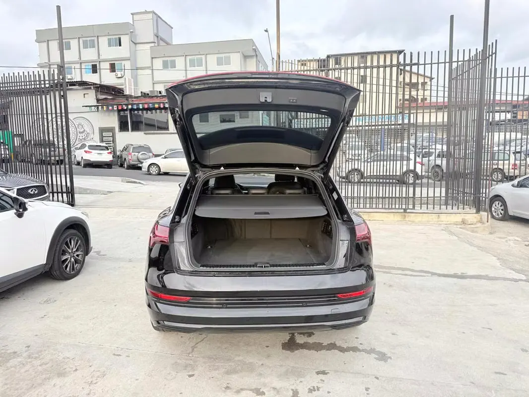 2020 Audi e-tron