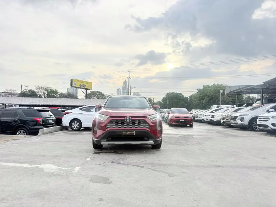 2019 Toyota RAV4