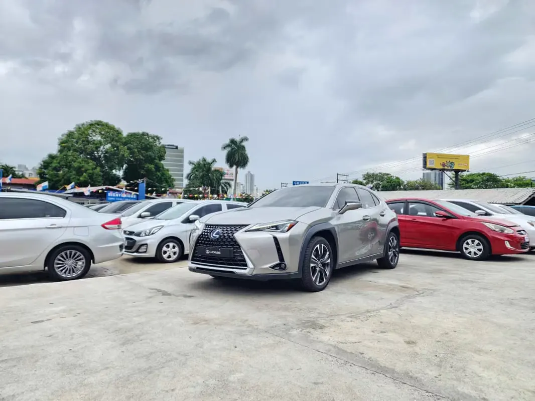 2020 Lexus UX