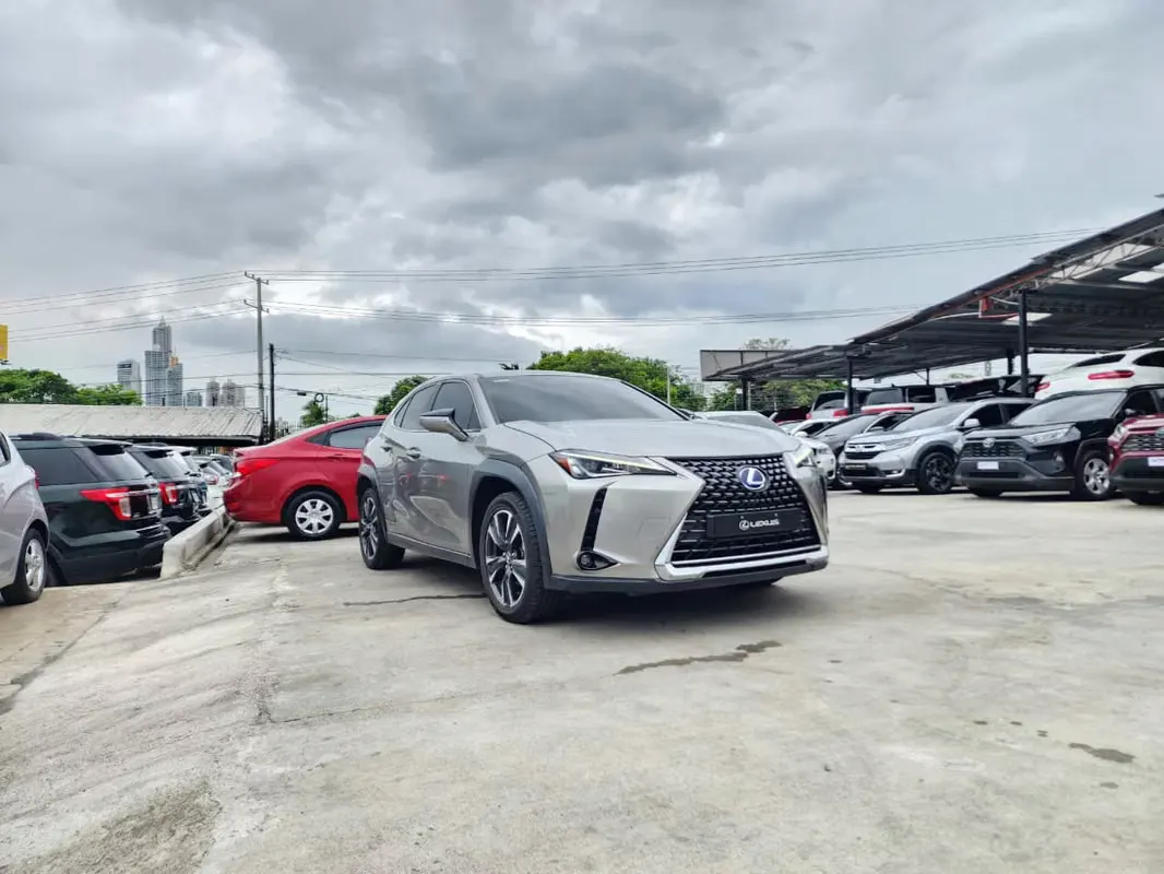 2020 Lexus UX