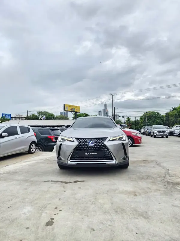 2020 Lexus UX