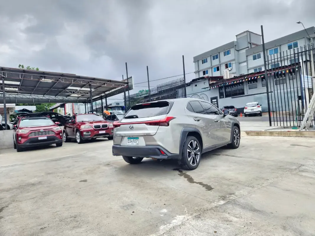 2020 Lexus UX
