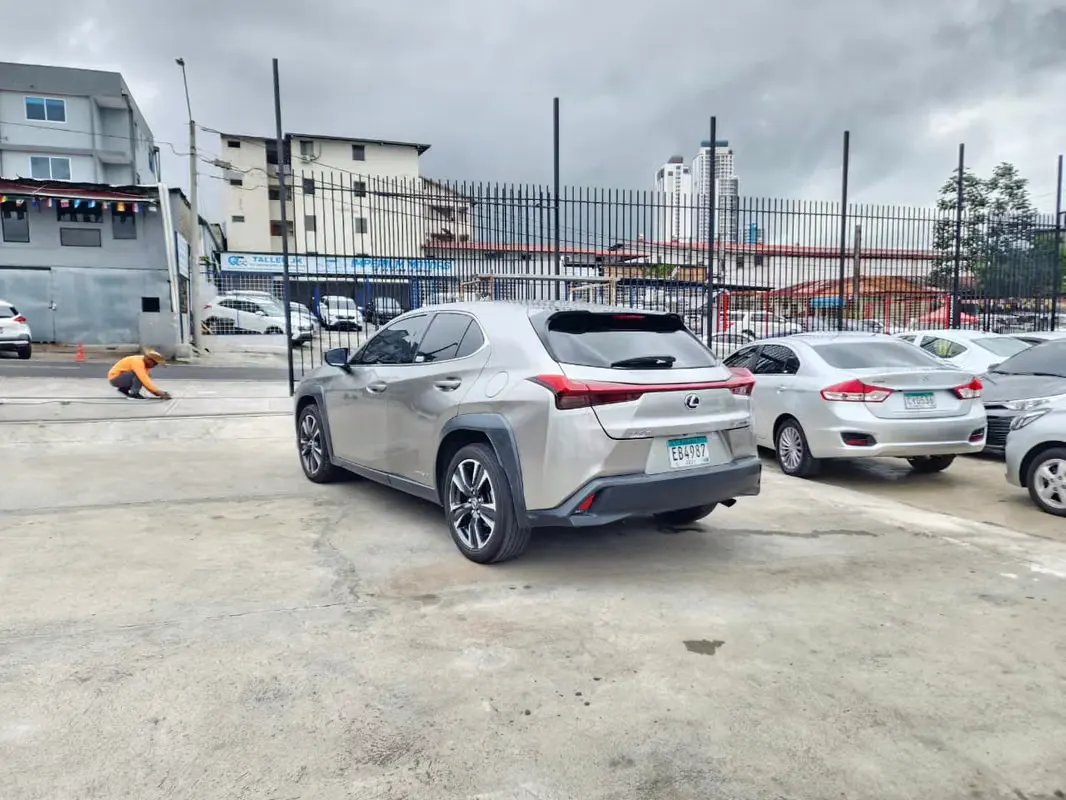 2020 Lexus UX