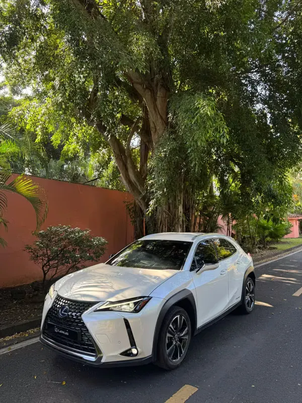 2022 Lexus UX