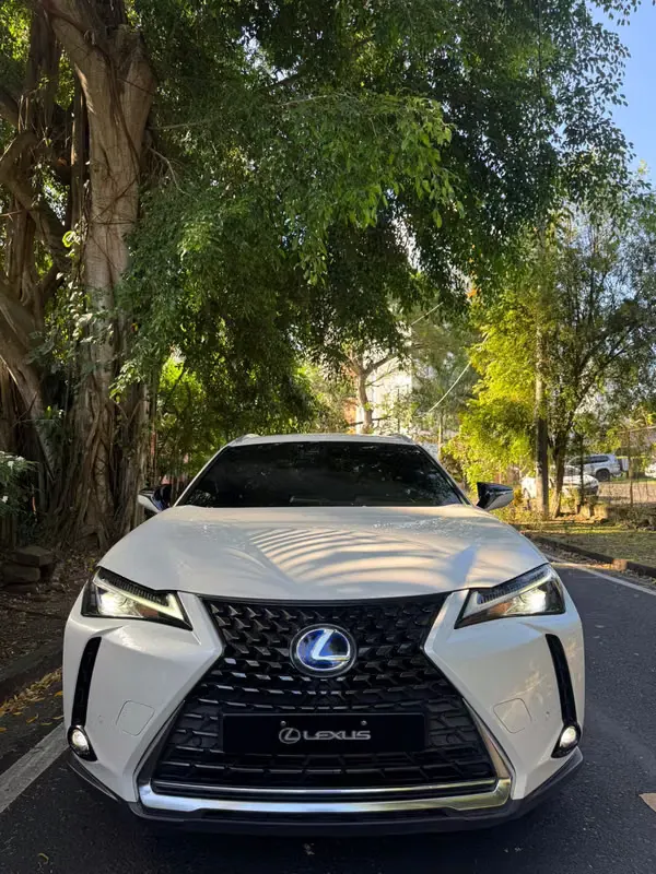 2022 Lexus UX