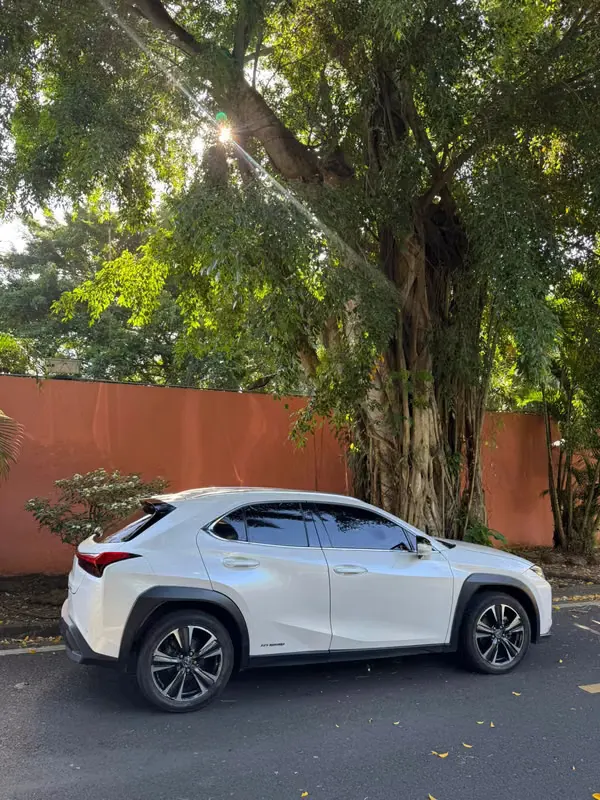 2022 Lexus UX