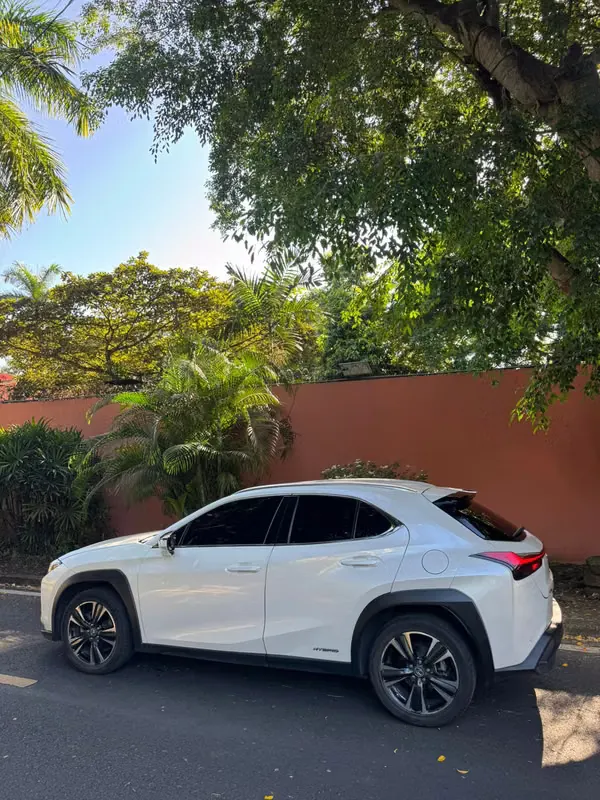 2022 Lexus UX