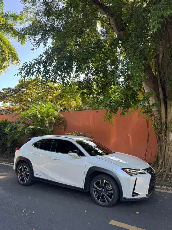 2022 Lexus UX