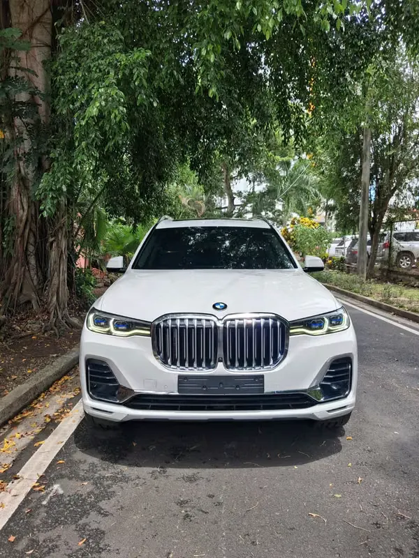2020 BMW X7