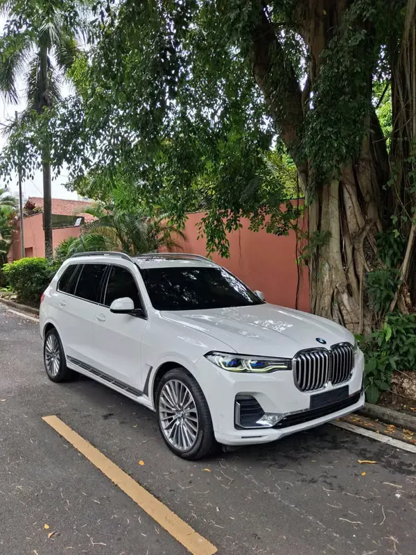 2020 BMW X7