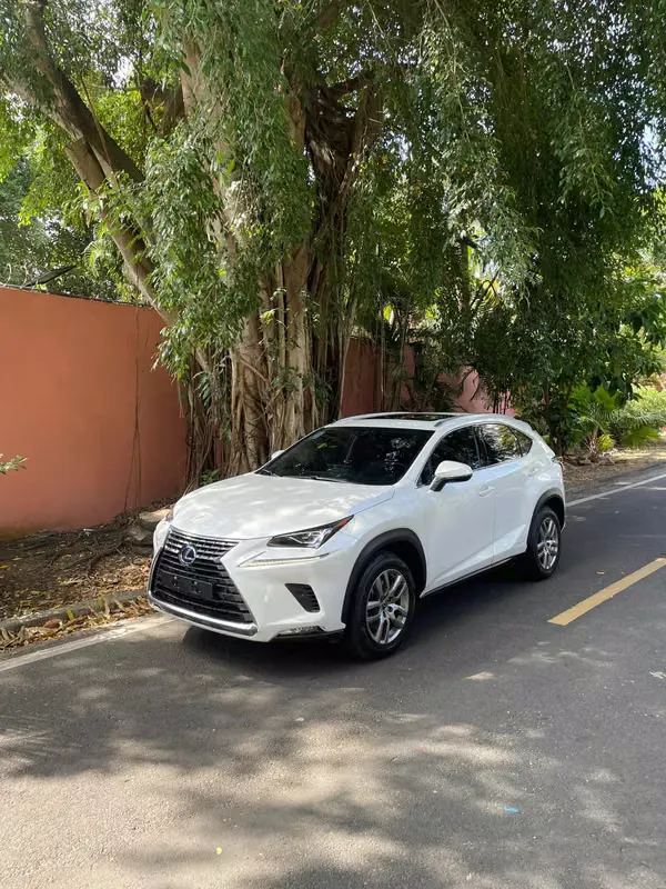 2021 Lexus NX