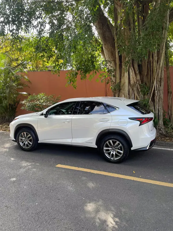 2021 Lexus NX