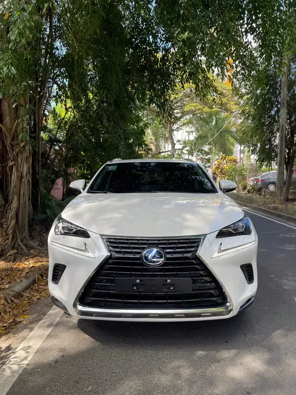 2021 Lexus NX