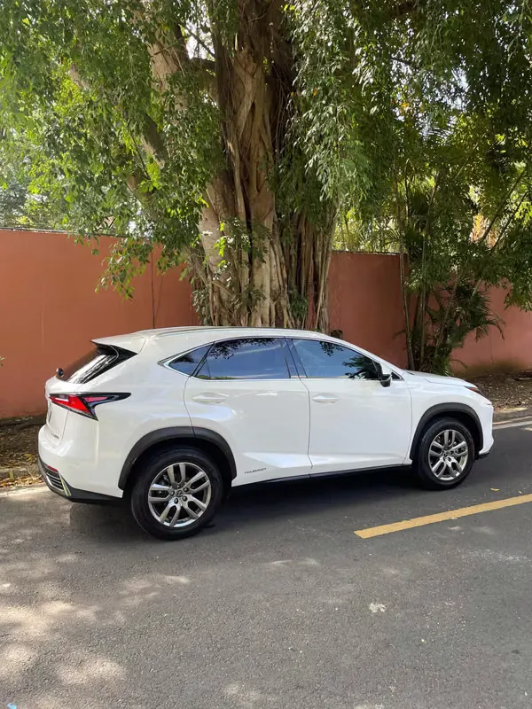 2021 Lexus NX