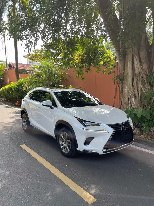 2021 Lexus NX