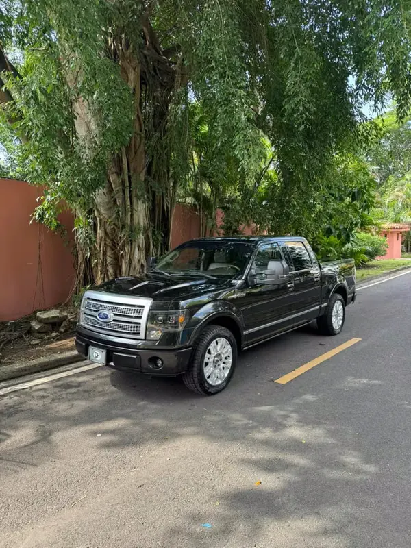 2010 Ford F-150