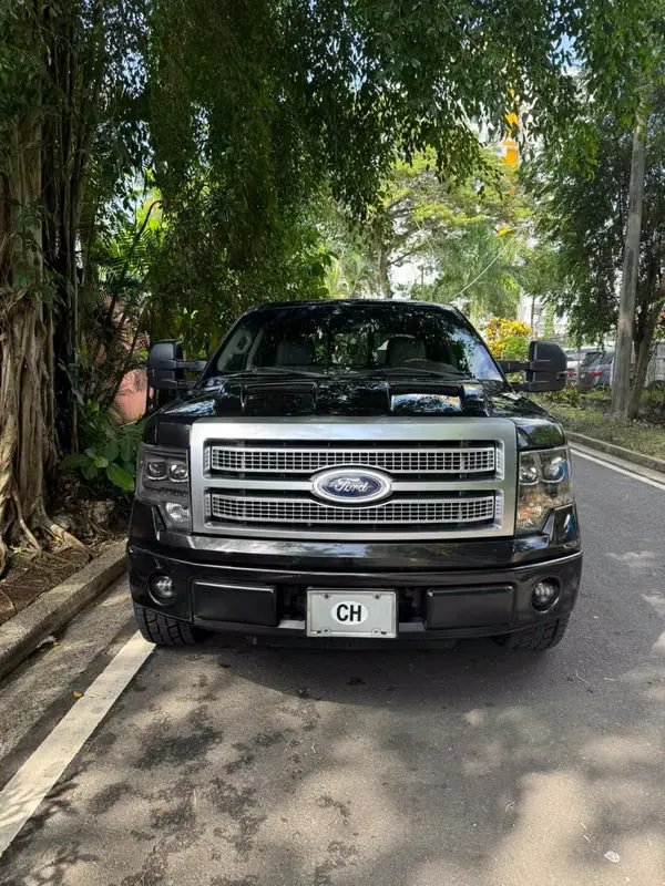2010 Ford F-150