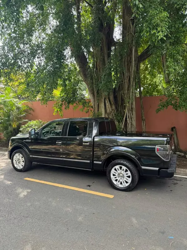 2010 Ford F-150