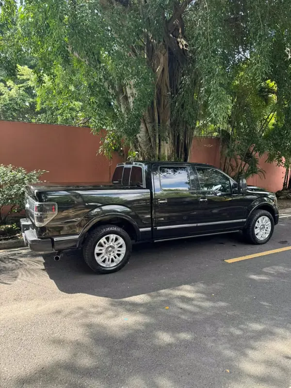 2010 Ford F-150