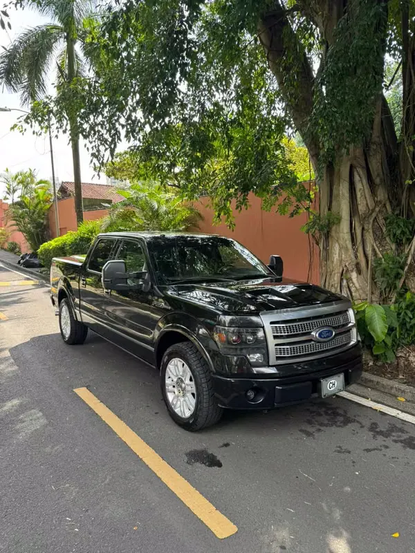 2010 Ford F-150