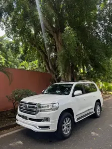 2019 Toyota Land Cruiser