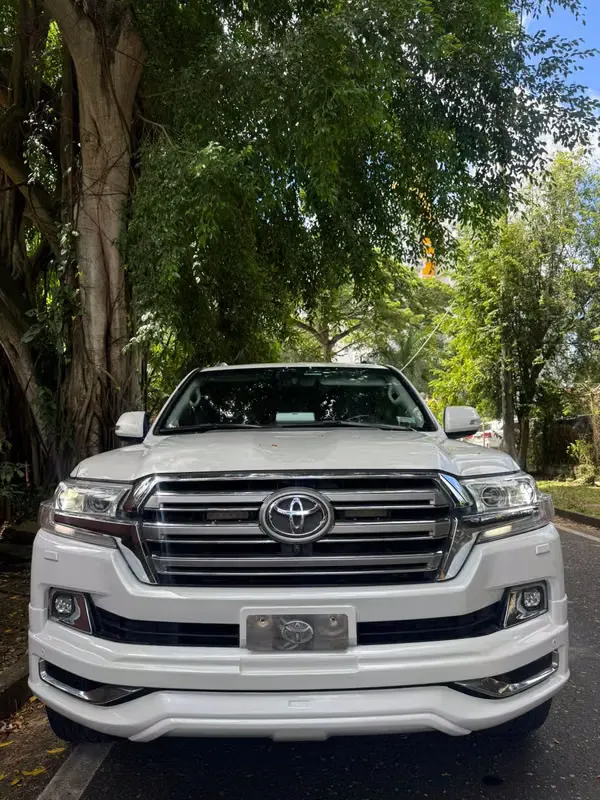 2019 Toyota Land Cruiser