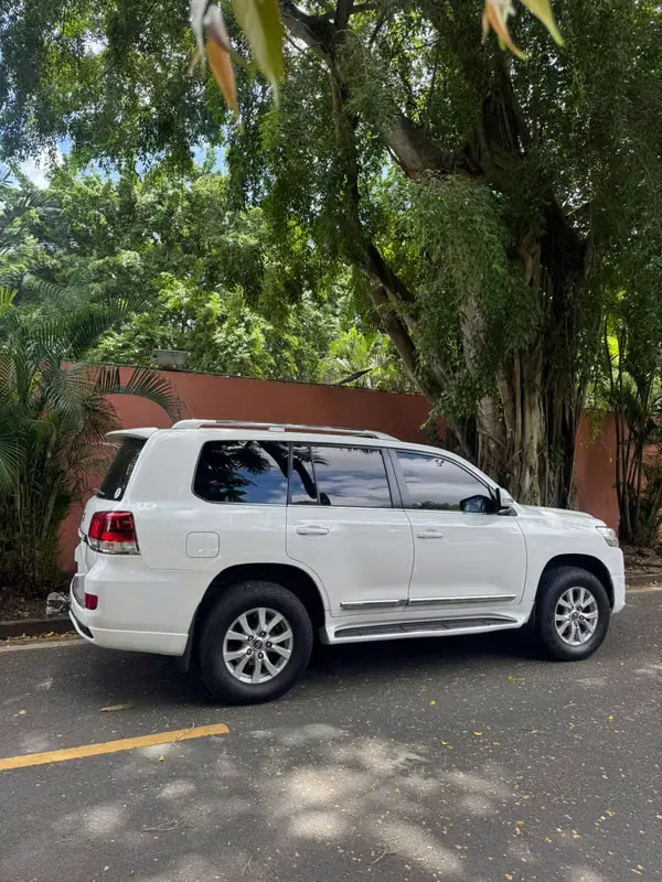 2019 Toyota Land Cruiser