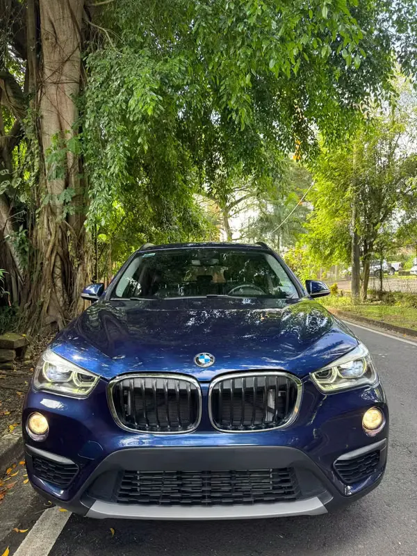 2017 BMW X1