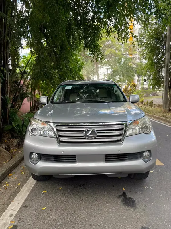 2010 Lexus GX
