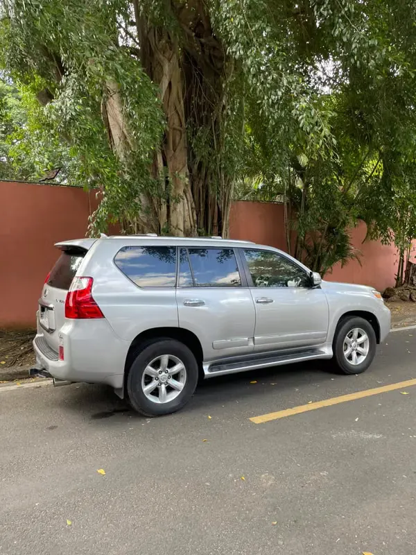 2010 Lexus GX
