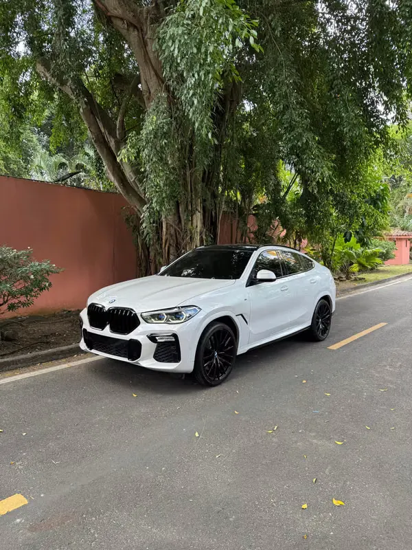 2020 BMW X6