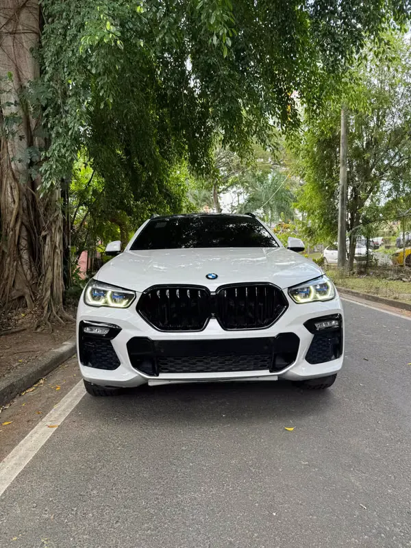 2020 BMW X6