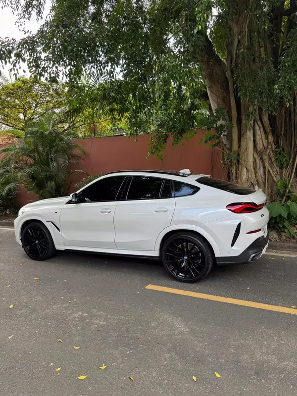 2020 BMW X6