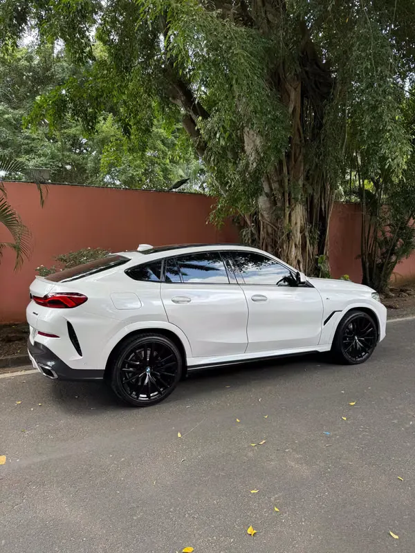 2020 BMW X6