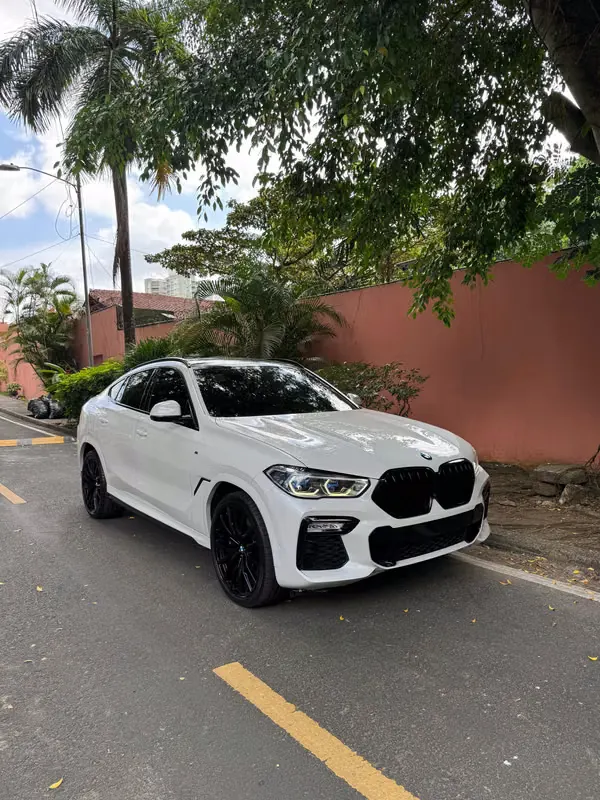 2020 BMW X6