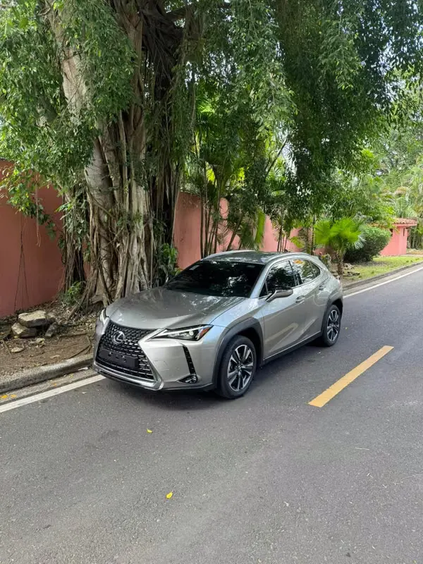 2024 Lexus UX