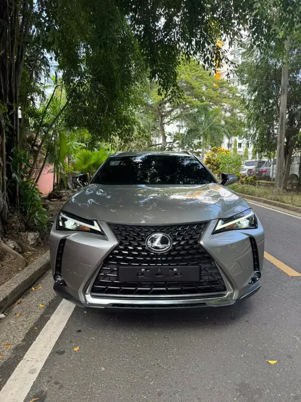 2024 Lexus UX
