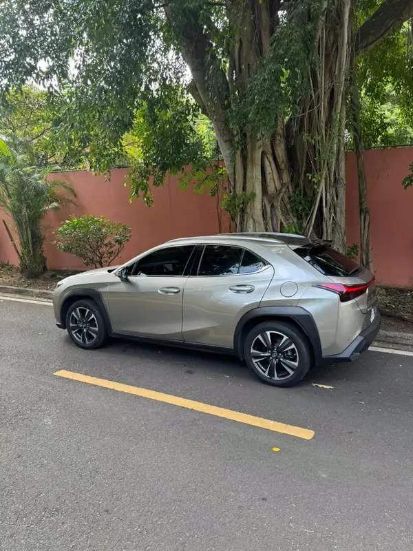 2024 Lexus UX
