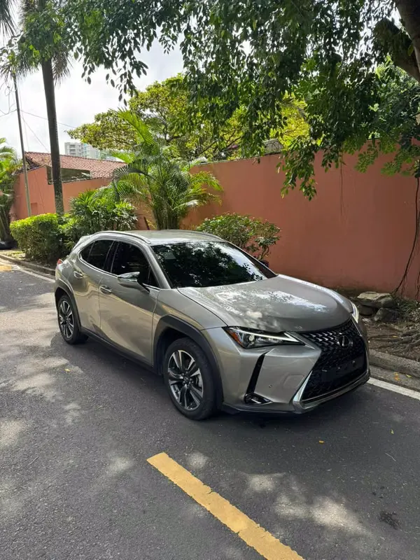 2024 Lexus UX